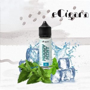 جویس ای سیگارا نعنا Ecigara Moody Mint