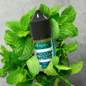 سالت نیکوتین ای سیگارا نعنا Ecigara Moody Mint Salt nic (30ml) سفارش امارات