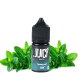 سالت نیکوتین جویسی نعنا JUICY SPEARMINT Salt ni