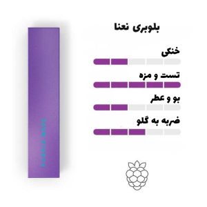 سیگار هیتس بنفش عربستان ( بلوبری نعنا ) Heets Purple Wave Arab