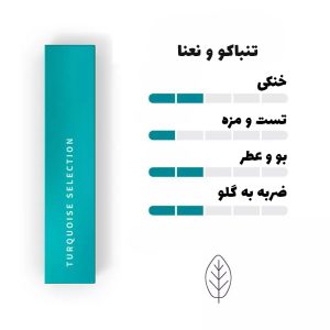 سیگار هیتس فیروزه ای عربستان ( تنباکو نعنا ) Heets Turquoise Arab