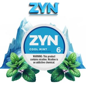 نیکوتین خوراکی مکیدنی نعنا یخ ZYN Cool Mint Nicotine Pouches Mini