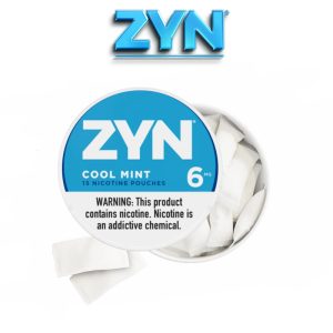 نیکوتین خوراکی مکیدنی نعنا یخ ZYN Cool Mint Nicotine Pouches Mini