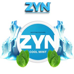 نیکوتین خوراکی مکیدنی نعنا یخ ZYN Cool Mint Nicotine Pouches