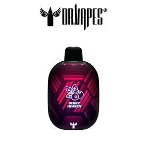 پاد 5500 پاف دکتر ویپ میکس توت ها Dr.Vape Berry Heaven 2%